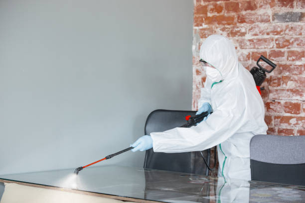 Best Crawl Space Mold Remediation in USA